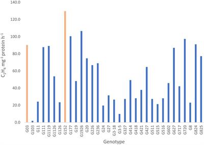 Physiological and molecular insights into the resilience of biological nitrogen fixation to applied nitrogen in Saccharum spontaneum, wild progenitor of sugarcane